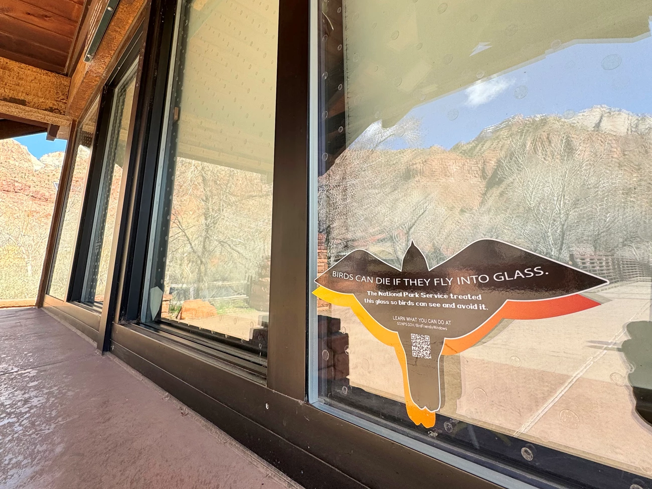 Birds can die if they fly into glass Flying bird-shaped window cling that reads "Birds can die if they fly into glass. The National Park Service treated this glass so birds can see it and avoid it. Learn what you can do at go.nps.gov/birdfriendlywindows." Dots on window are barely visible