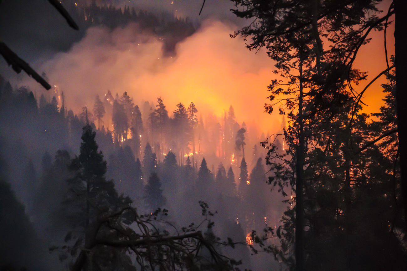 Looking down from a ridge in the evening at glowing yellow and red flames and smoke rising from among groves of enormous conifers.