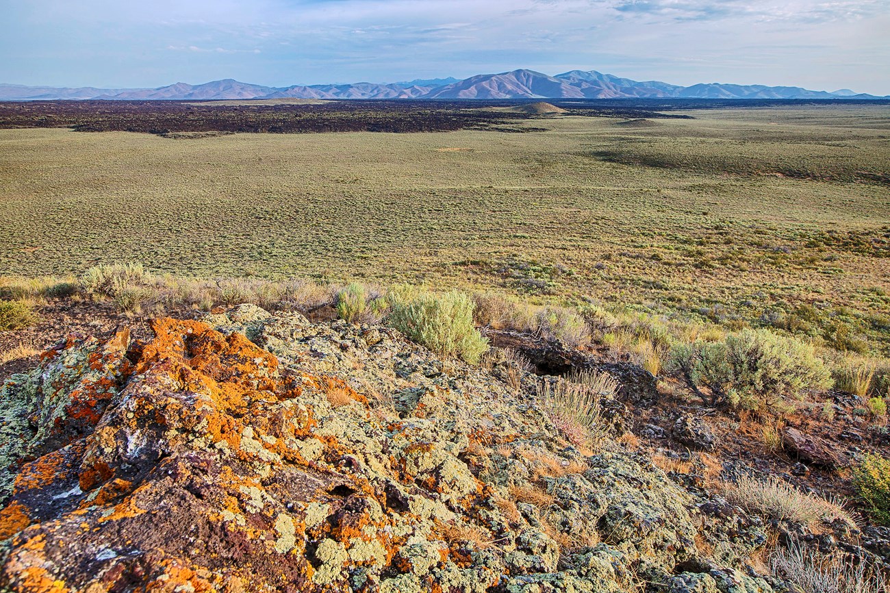 an enormous, flat, sagebrush covered landscape with patches of dark lava rock and mountains in the distance viewed from a lichen covered outcrop.