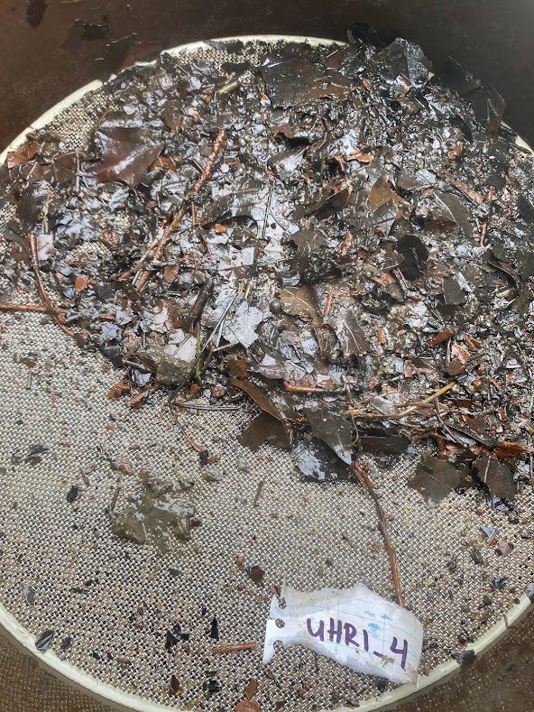 Round screen half covered in wet leaves and other tiny things from a benthic sample.