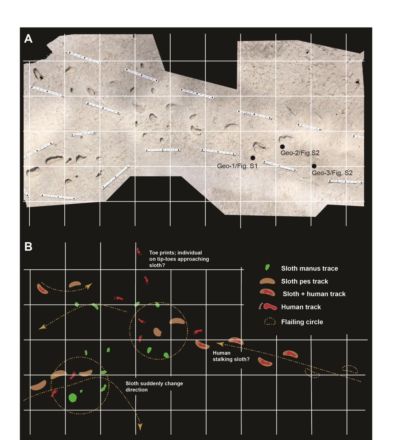 Paleo_arch11Mod A black grid, on top is an aerial photo of tracks. On the bottom are colorful graphic track representations.
