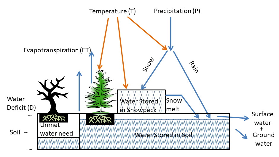 Water balance graphic