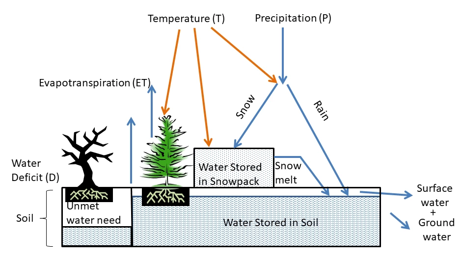 Water balance graphic Water balance graphic