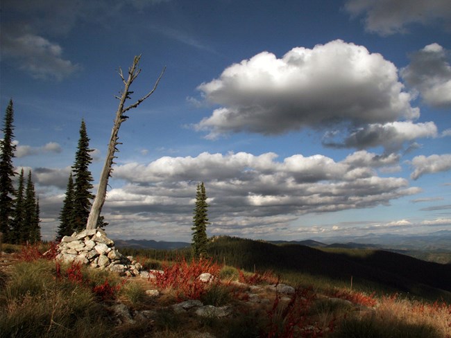 Sweeping mountains recede into distance. In foreground, dead tree and rocks serve as marker