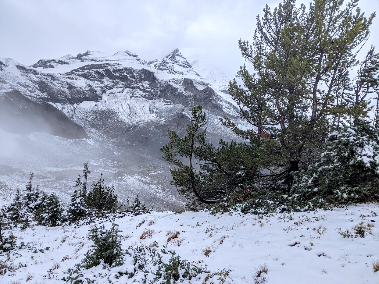 A dramatic mountain scene with snow and evergreen trees