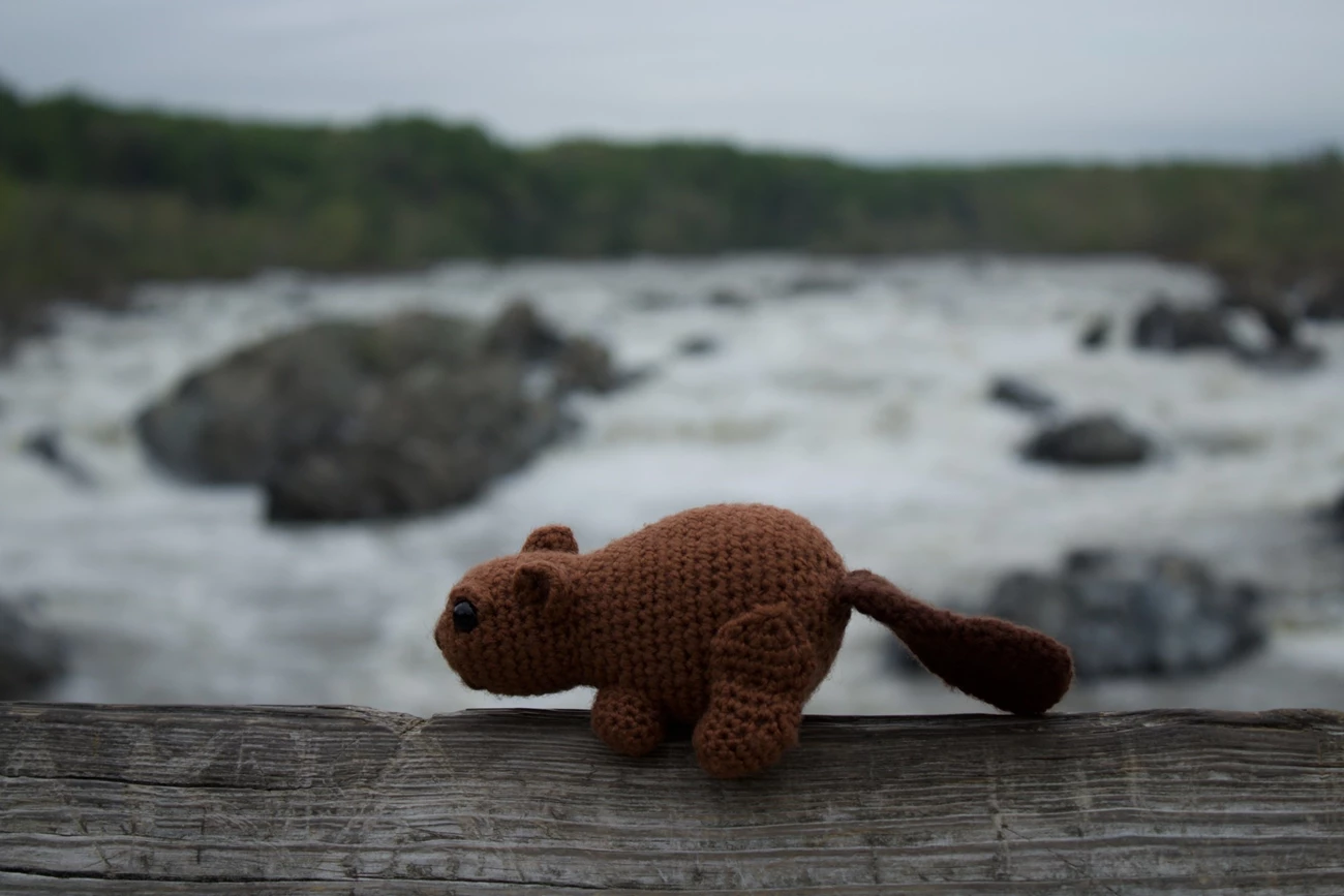 Crocheted Beaver at Great Falls Park. A crocheted beaver sitting on a grey wooden fence, in front of a waterfall on a cloudy day.