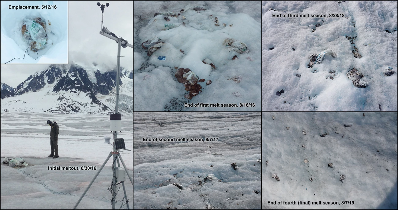 fig 5_photo_composite_web A series of photos showing different levels of melt-out exposure of human waste on the glacier.
