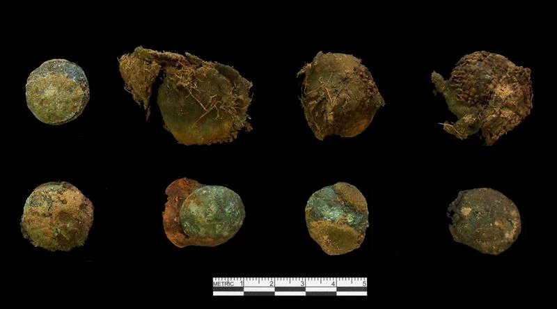 Figure 7. Sample of coat-sized eagle buttons recovered from the bundle with attached fabric. Eight buttons recovered from the burial location in various degraded conditions, some with fabric still attached.