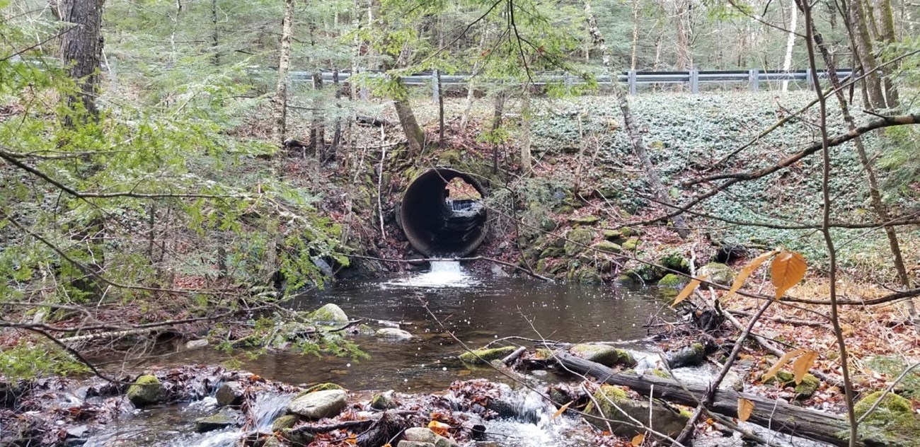 Culverts that don’t provide adequate drainage can cause structural damage to roads and bridges causing blowouts. Photo of Culvert #3 that received funding to be replaced, courtesy of Kim Tobin and John Denno. Culverts that don’t provide adequate drainage can cause structural damage to roads and bridges causing blowouts. Photo of Culvert #3 that received funding to be replaced, courtesy of Kim Tobin and John Denno.