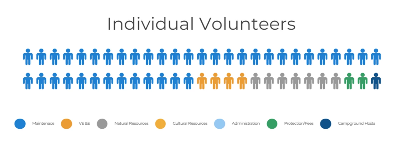 Individual Volunteers A graph titled "individual volunteers" with two rows of minimalist stick figures representing a certain percentage of volunteers. Maintenance, depicted in blue, holds the greatest percentage of individual volunteers at about 75%.