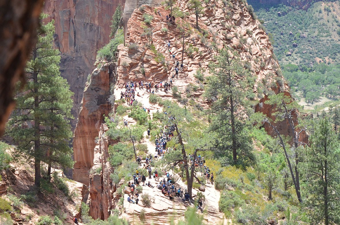 Crowded trails crowds of people make their way up the steep angels landing trail