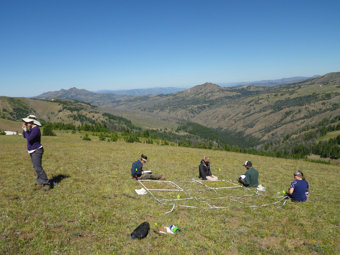 biologists doing climate change research in alpine environment biologists doing climate change research in alpine environment