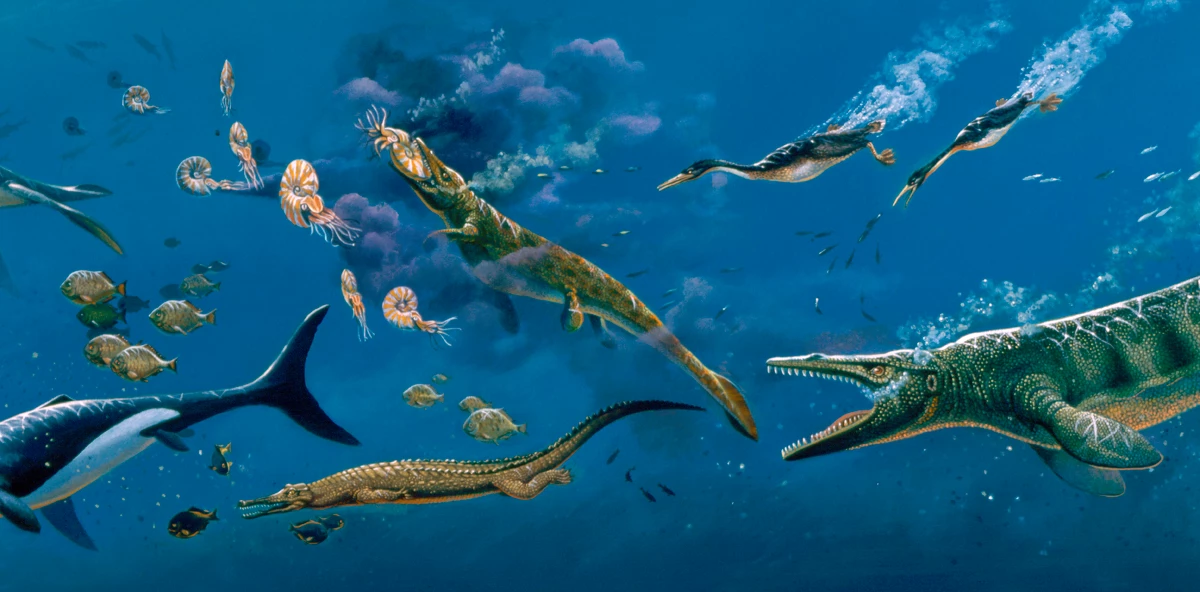 Cretaceous sea mural Cretaceous sea mural