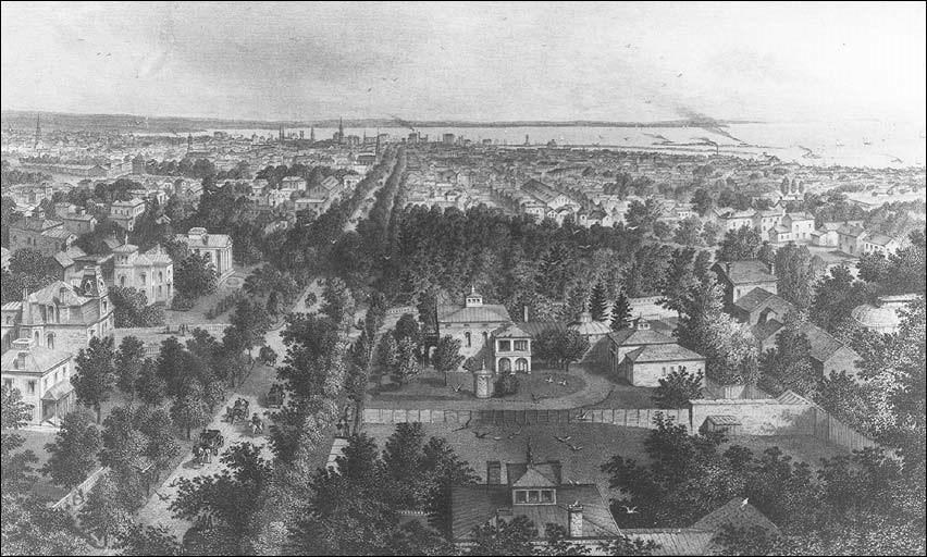 Image of a tree-lined neighborhood. Image of a tree-lined neighborhood.