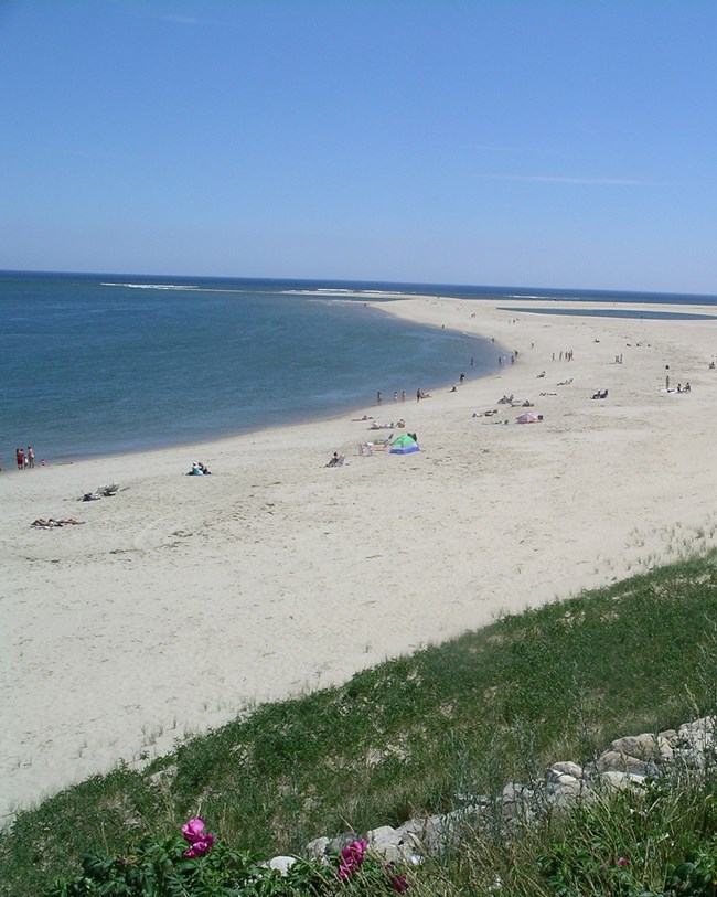 people on beach