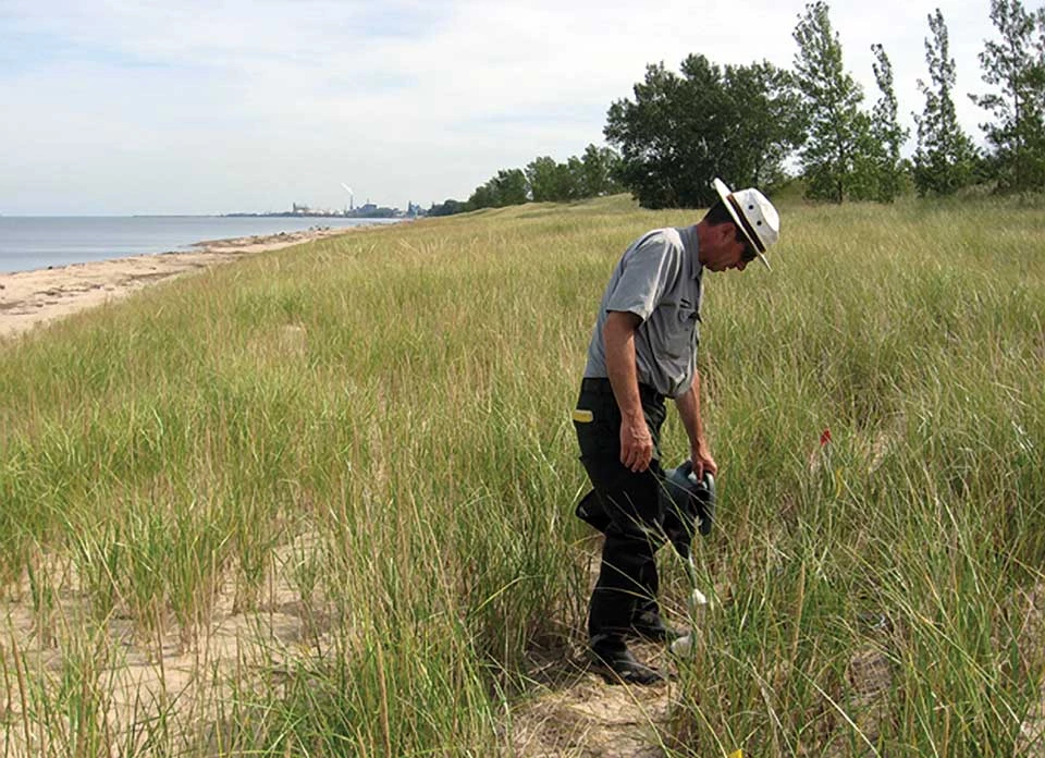 The author applies supplemental water at one of seven reintroduction sites. A man applies supplemental water at one of seven reintroduction sites.