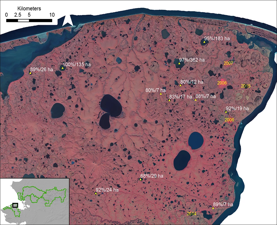 DrainedLakes2018HLH_2 Satellite image of northeastern Bering Land Bridge National Preserve. Lakes that drained in 2018 are marked with a triangle and labeled with the water area loss in percent of the original lake area and water loss in hectares (ha, about 2.5 acres).
