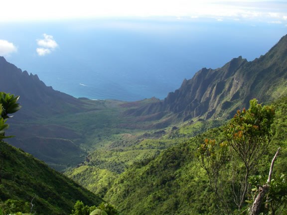 Lush tropical valley with the ocean in the distance