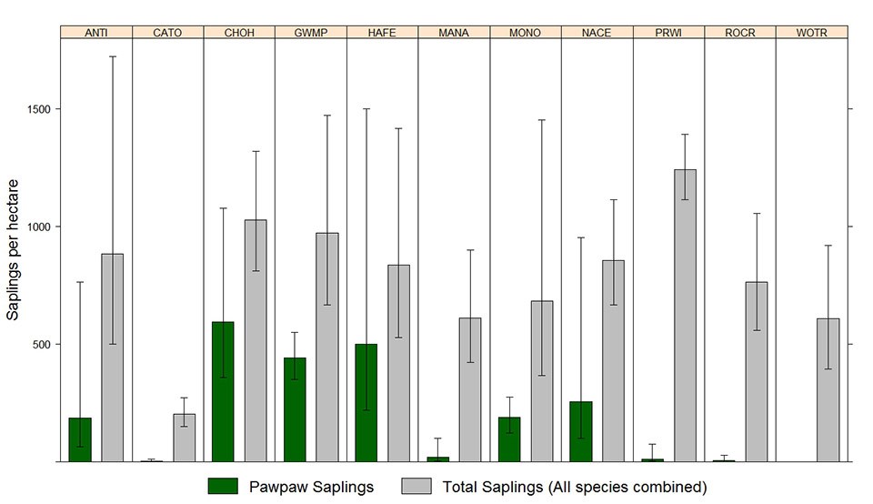 A graph showing sapling density for all species compared to pawpaw
