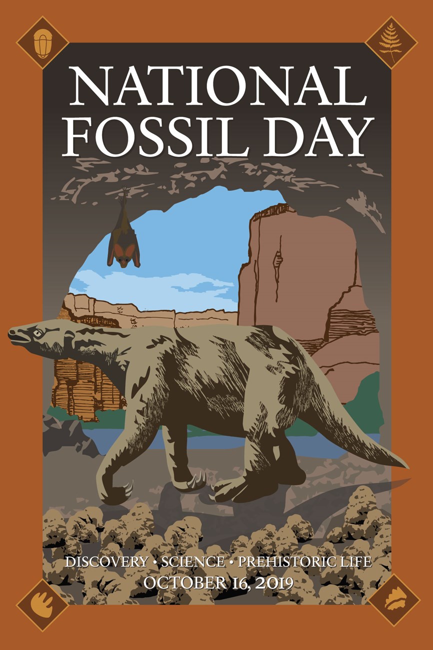 nfd. fig 4 national fossil day logo