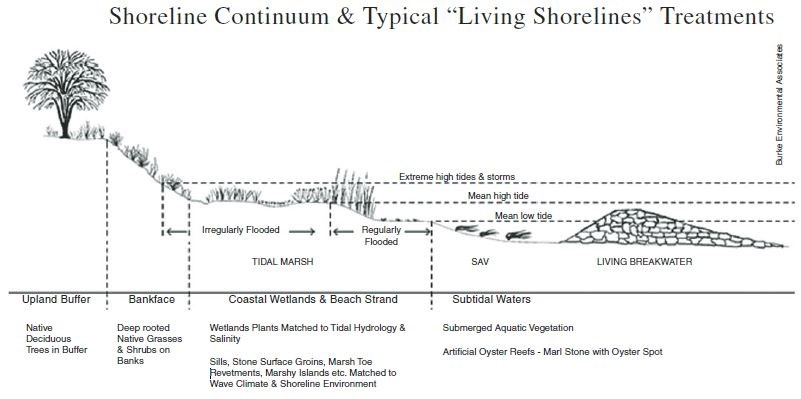 Figure 18 (description follows)