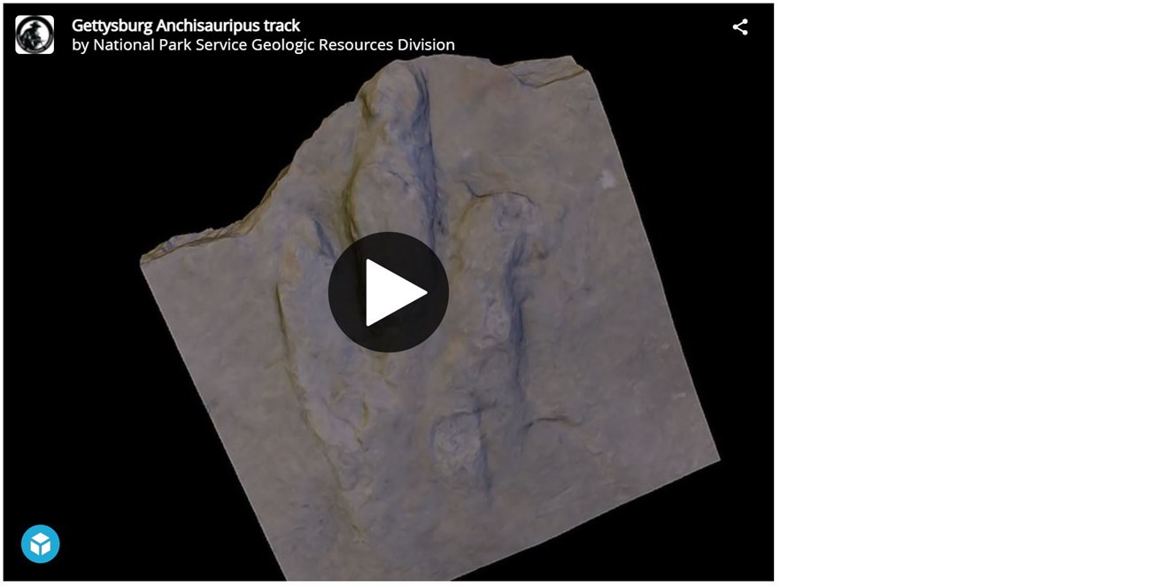 This model shows a three-toed track in a slab of stone.