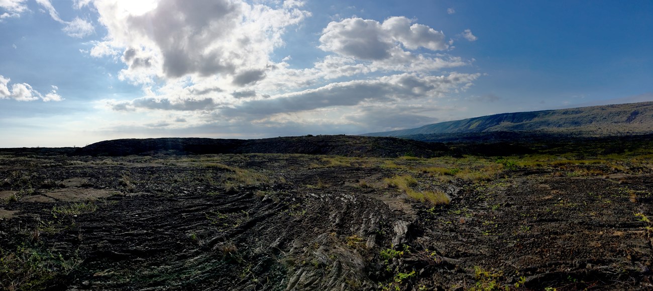 A small dome covered in a desolate volcanic area.