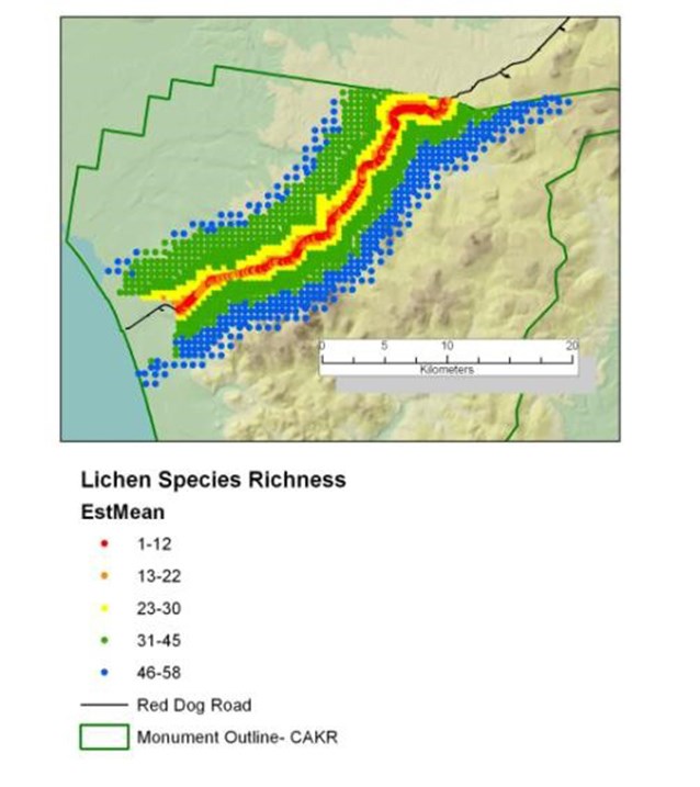 a map of northwest alaska with colors indicating that fewer lichen species are found near a road labelled red dog mine road