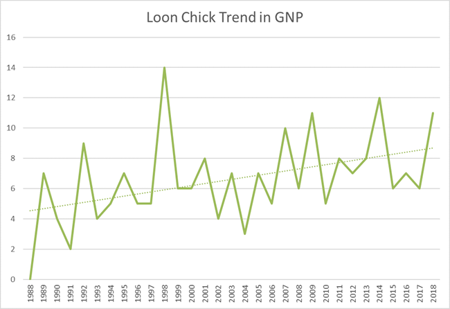 Line graph shows trend of less variation in loon chick numbers from 1998 to 2018.