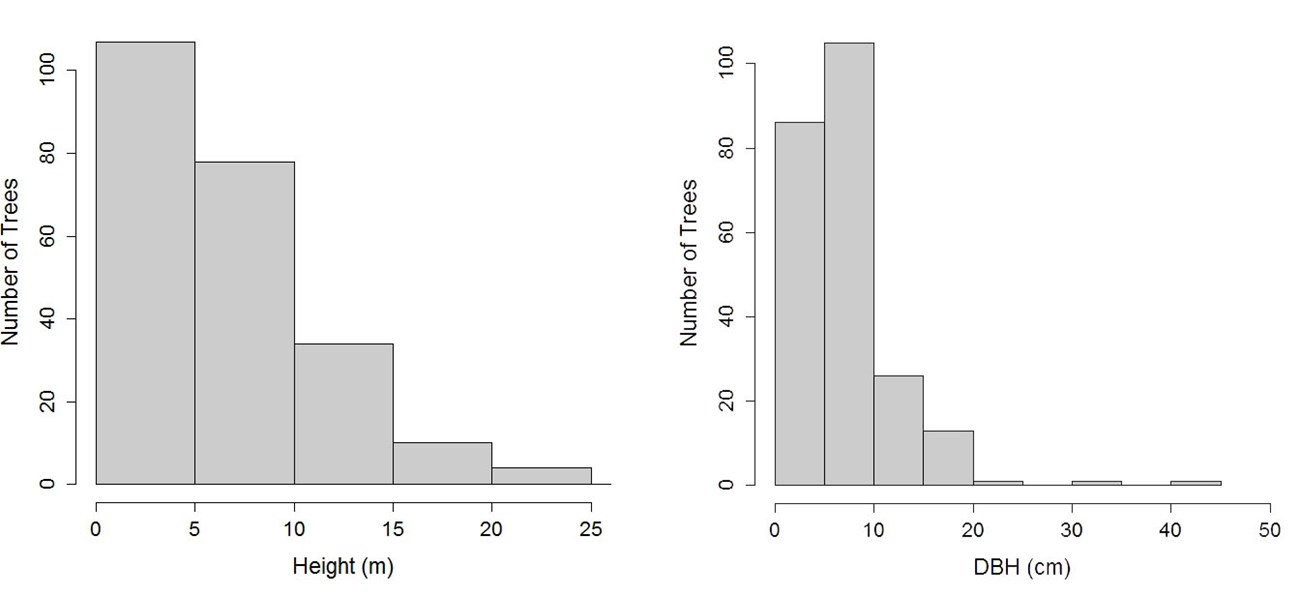 American chestnut tree distribution in NCR Two bar graphs showing distribution of American chestnut trees in the National Capital Region by height and diameter.