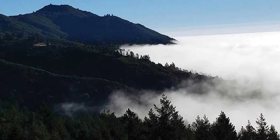 Forested Mount Tamalpais rises above lowland fog. Forested Mount Tamalpais rises above lowland fog.