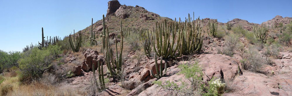 rocky desert landscape