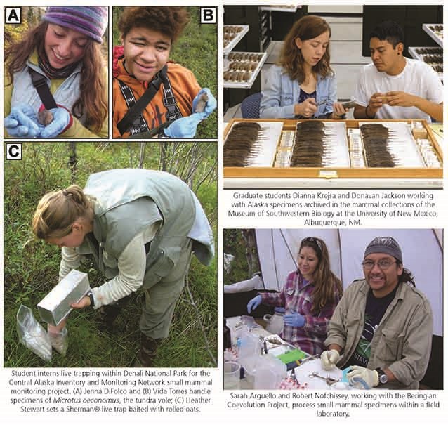 four images of adults and kids looking at live and dead rodents