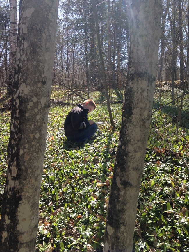 Child crouched in woods writing down observations on a piece of paper