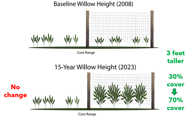 Willow Data figure Willow Data figure