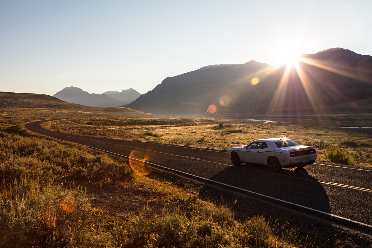 Car driving on road in Lamar Valley in Yellowstone