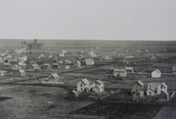 Houses surrounded by fields.