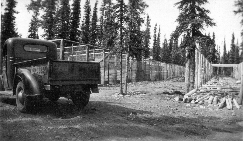 1930s era pick up truck near chain link fencing