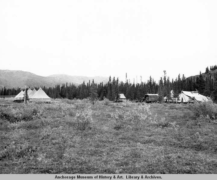 large tents near the edge of a forest