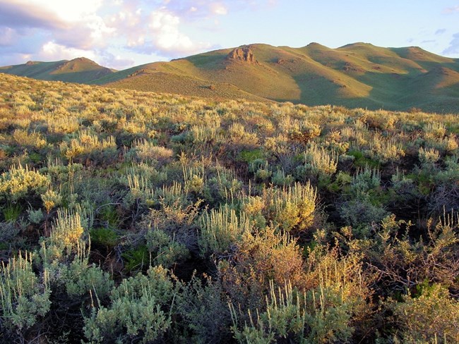 Scenic view in Craters of the Moon NM & Pres