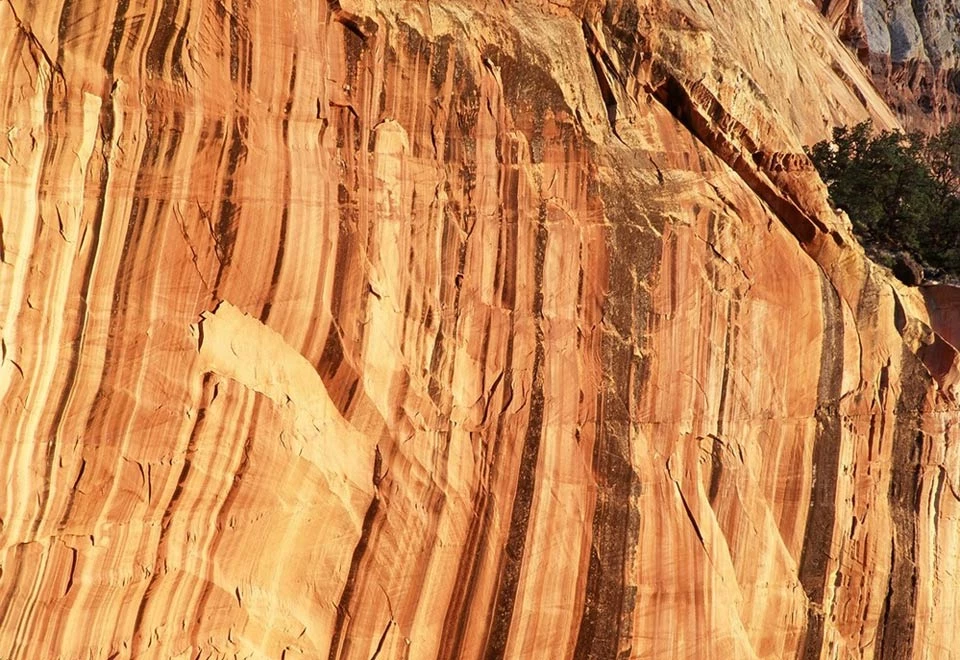 black desert varnish at Capitol Reef National Park black streaks of desert varnish on a red rock wall