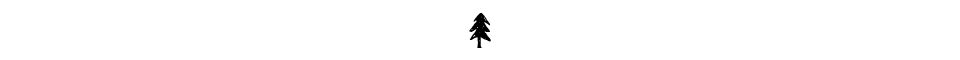 Sketched illustration of a pine tree