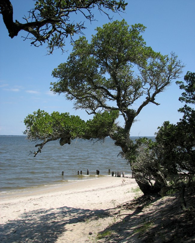 beach and shoreline