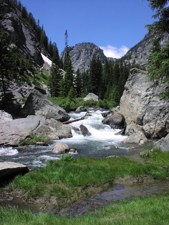 mountain stream