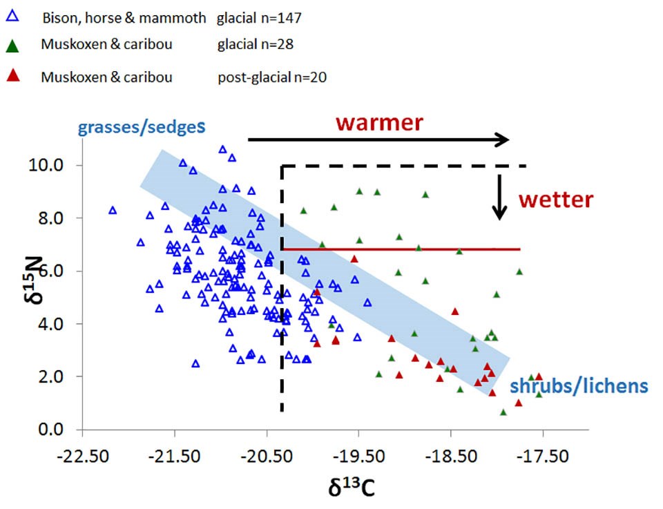 A scatter graph showing the isotopes related to diet of different species.