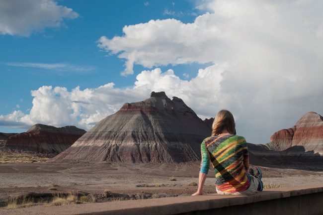 Park visitor in front of formations