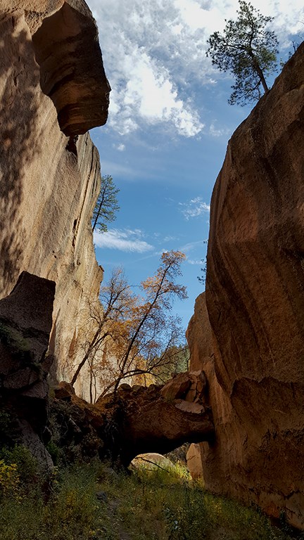 rock bridge frijoles canyon