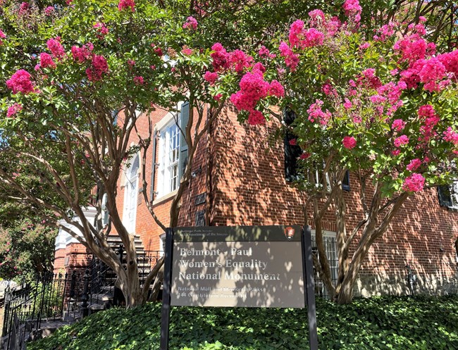 Belmont-Paul sign on corner of site with blooming trees