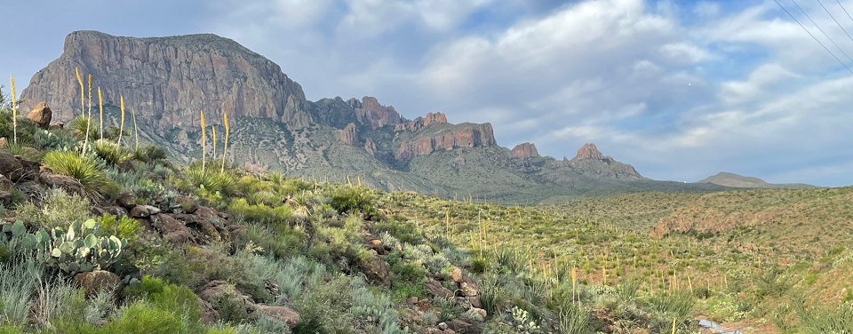 chisos foothills