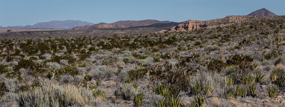 Camp de Leon views